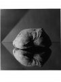 Mapplethorpe, Robert Bread, 1979